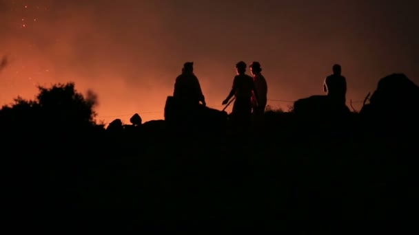 Firefighters at night forest fire — Stock Video
