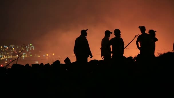 Пожежники на нічному лісовому вогні — стокове відео