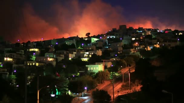 Feu de forêt près des maisons — Video