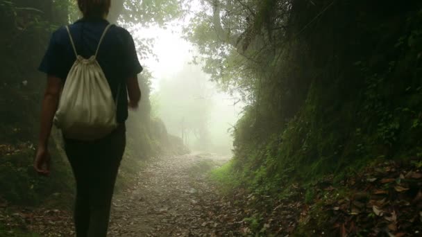 Female tourist — Stock Video