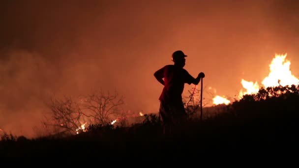 Пожарные у ночного лесного пожара — стоковое видео