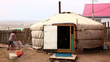 disi alanlar, Moğol ger