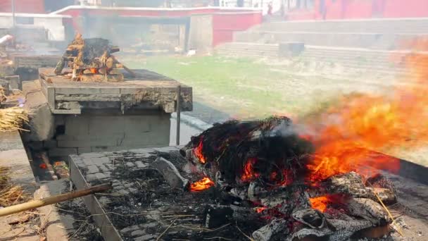 Cremation at pashupatinath temple — Stock Video