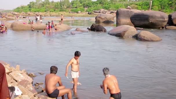 Mensen en olifant waden in rivier — Stockvideo