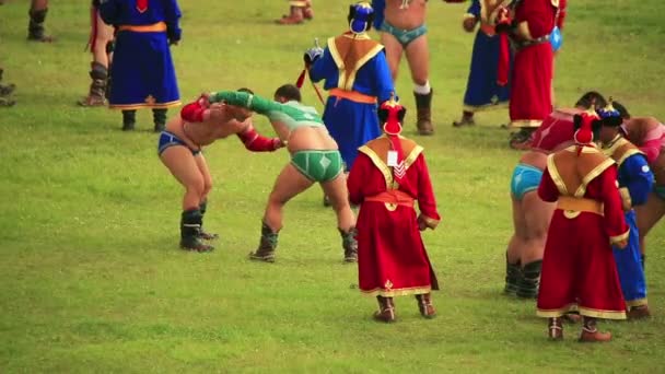 Боротьби турнір, фестиваль naadam — стокове відео