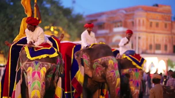 Traditionally painted elephants — Stock Video