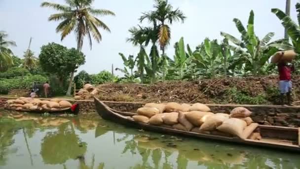Everyday scene in Kerala Backwaters — Stock Video