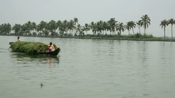 Vardagliga scen i kerala backwaters — Stockvideo