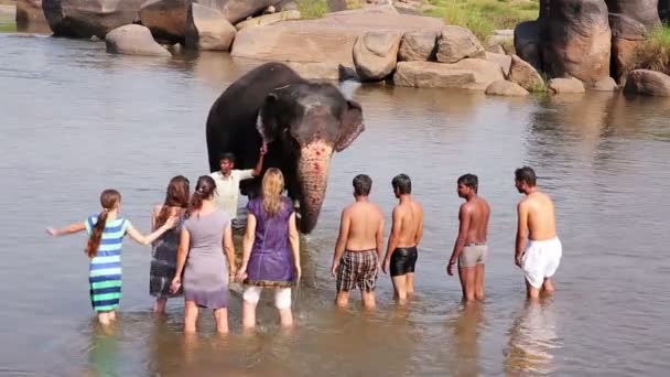 Люди и слоны купаются в реке — стоковое видео