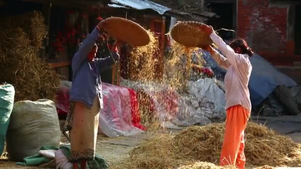Miejscową kobietę, przesiewanie, bhaktapur — Wideo stockowe