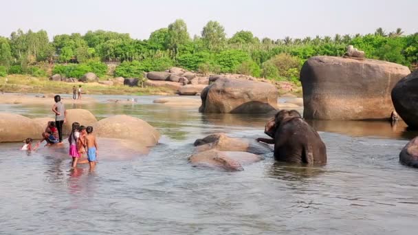 People and elephant wading in river — Stock Video