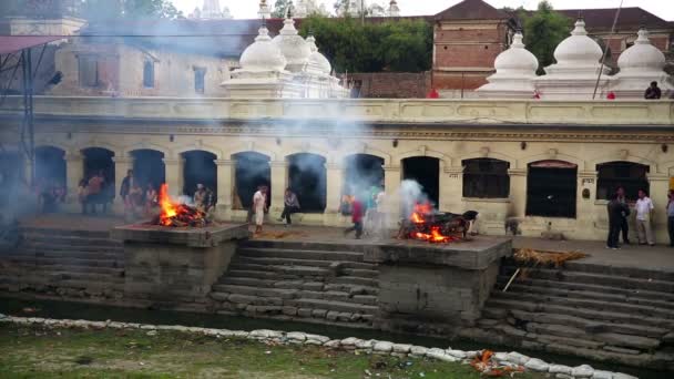 Kremacja w pashupatinath świątyni — Wideo stockowe