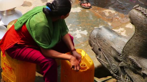 Les gens versent de l'eau dans le récipient — Video