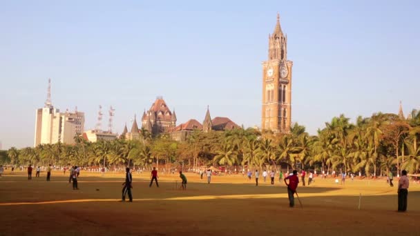 Gente en el parque jugando cricket — Vídeo de stock
