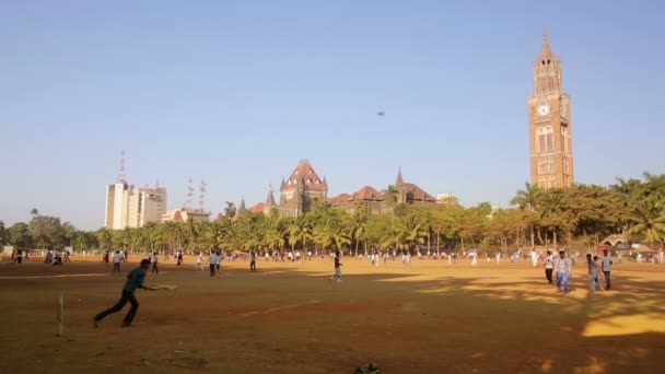 Gente en el parque jugando cricket — Vídeo de stock