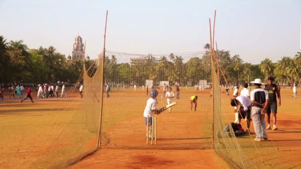 People in park playing cricket — Stock Video