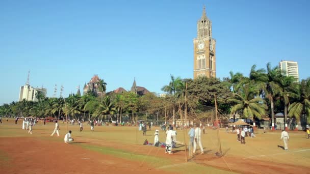 Люди в парке играют в крикет — стоковое видео