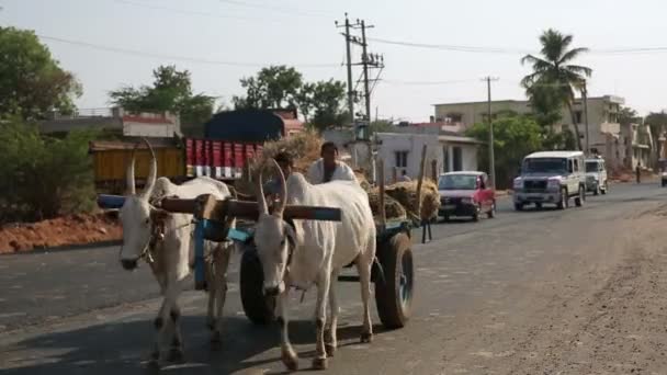 Escena callejera cotidiana — Vídeos de Stock