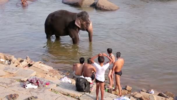 Människor och elefant vada i floden — Stockvideo