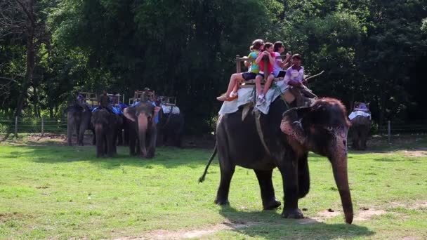 Cabalgando sobre elefantes de vuelta — Vídeo de stock