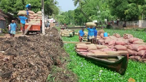 Pittoreska scen i kerala backwaters — Stockvideo