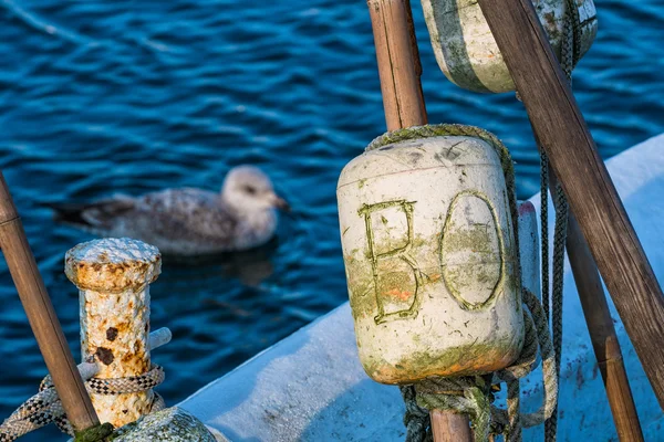 Detay — Stok fotoğraf