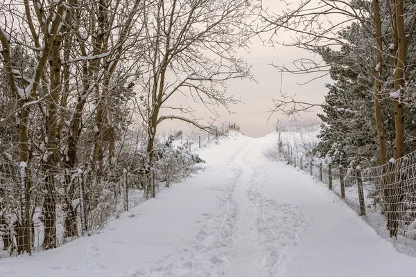 Inverno — Fotografia de Stock