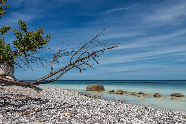 Östersjön — Stockfoto