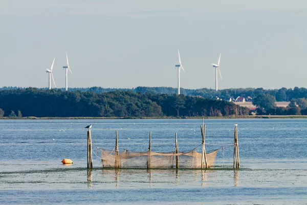 Fischernetz — Stockfoto