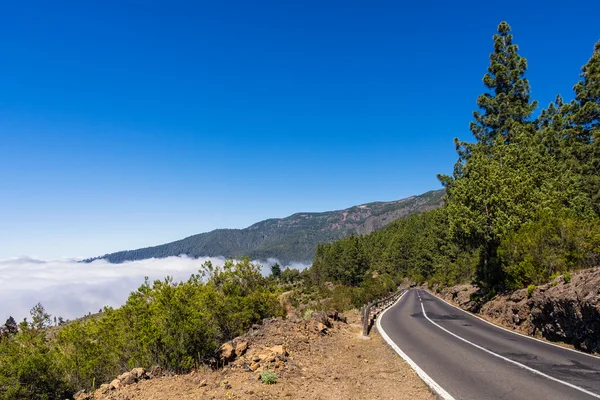 Tenerife — Foto de Stock