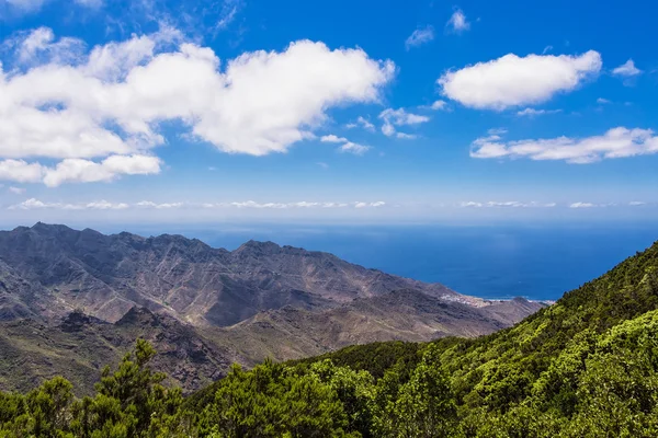Tenerife — Stok fotoğraf