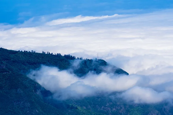 Tenerife — Foto de Stock