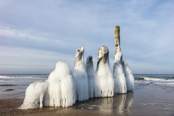 バルト海 — ストック写真