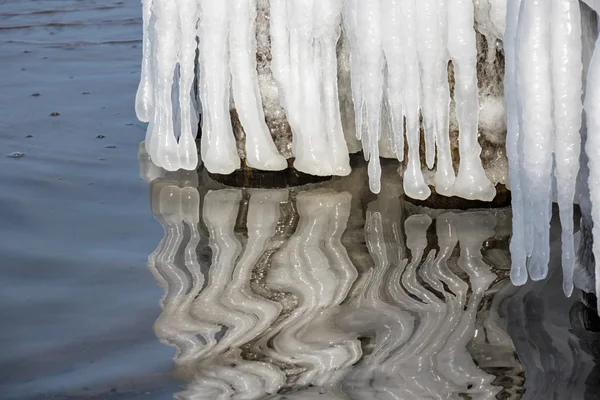 Vinter — Stockfoto