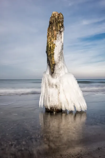 Invierno — Foto de Stock