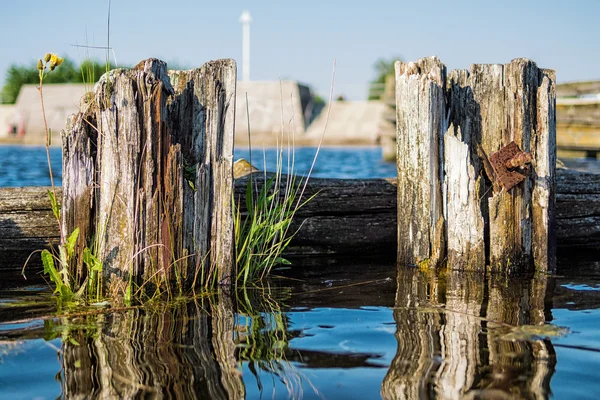 Groynes on the river Warnow — Stock Photo, Image