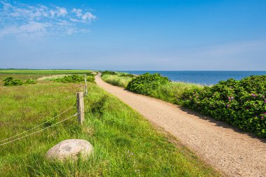 Nebel 'de çimenli yol Amrum, Almanya.