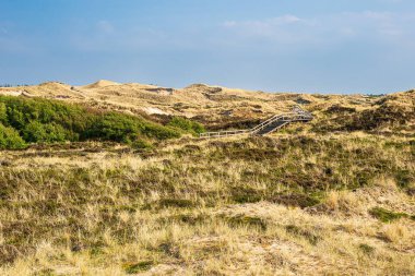 Norddorf 'taki kumulların manzarası Kuzey Denizi adası Amrum, Almanya.