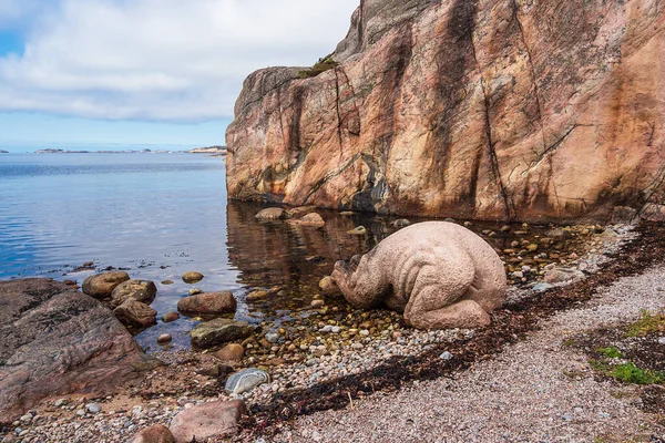 Paesaggio Sull Isola Dell Arcipelago Skjernoya Norvegia — Foto Stock