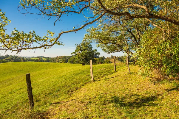 Landschaft Mit Koppel Und Bäumen Bei Hohen Demzin Deutschland — Stockfoto