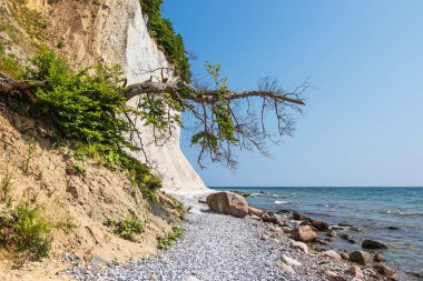 Almanya 'nın Ruegen adasındaki Baltık Denizi kıyısındaki tebeşir kayalıkları.