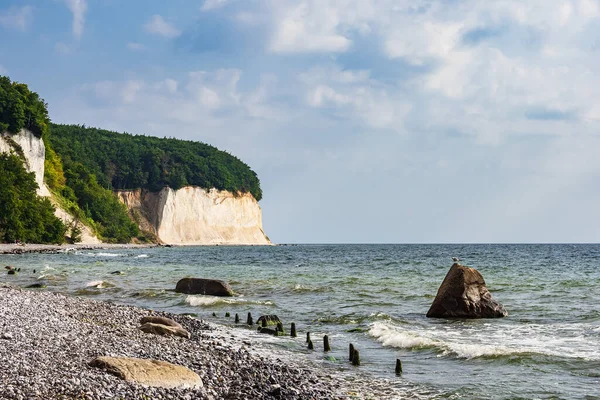 Falésias Giz Costa Mar Báltico Ilha Ruegen Alemanha — Fotografia de Stock