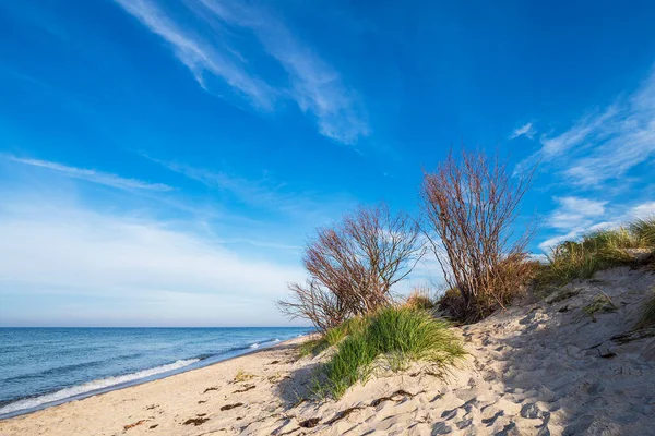 Landscape Beach Weststrand Baltic Sea Coast Germany — Stock Photo, Image