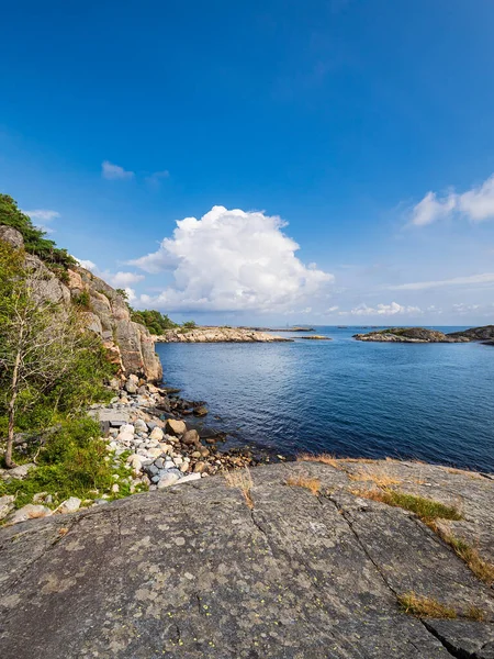 Krajobraz Rezerwacie Przyrody Hasseltangen Norwegii — Zdjęcie stockowe