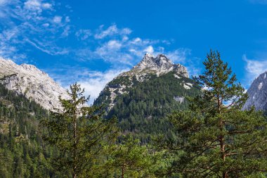 Almanya 'nın Berchtesgaden Alplerinde Klausbachtal vadisinde manzara.