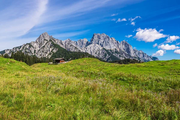 View Mountain Pasture Litzlalm Alps Austria — Stock Photo, Image