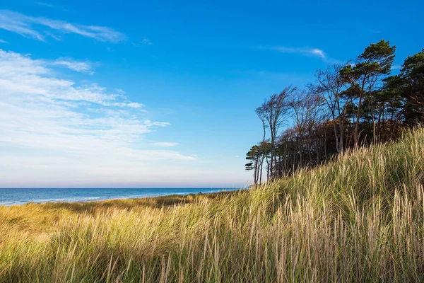 Paisaje Playa Weststrand Costa Del Mar Báltico Alemania —  Fotos de Stock