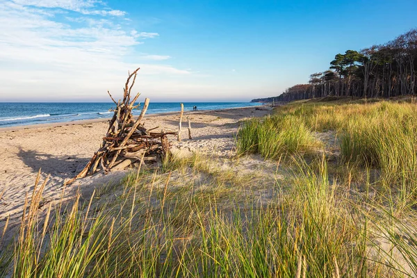 Badehose Strand Weststrand Der Ostseeküste Deutschland — Stockfoto