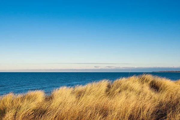 Dune Baltic Sea Coast Dierhagen Germany — Stock Photo, Image