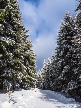 Schmiedefeld am Rennsteig, Almanya yakınlarındaki Thuringian Ormanında kışın manzara.